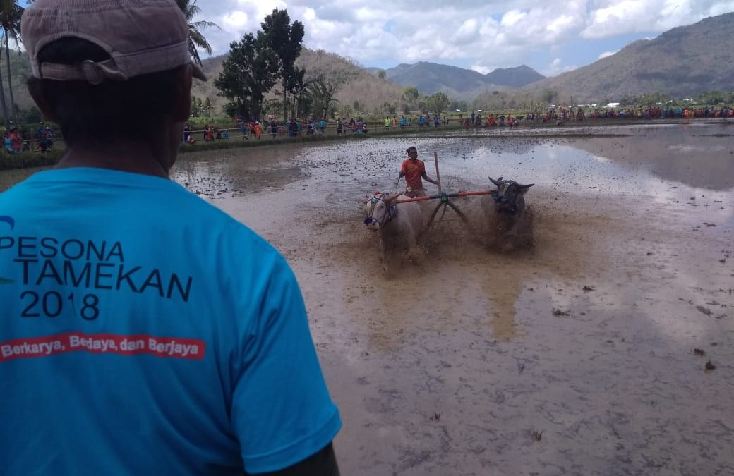 Bupati: Budaya Sarana Menjaga Silaturrahmi