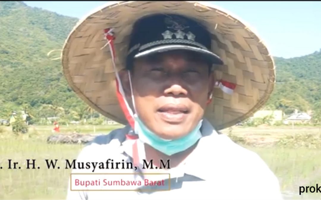 Bupati Ikuti Gerakan Tanam Padi Serentak Nasional dan Rapat Via Vidcon dengan Mentan