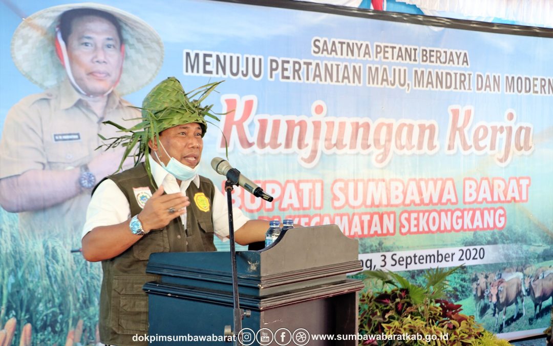 Kunjungan Kerja Ke Kecamatan Sekongkang, Bupati Dengarkan Isi Hati Masyarakat