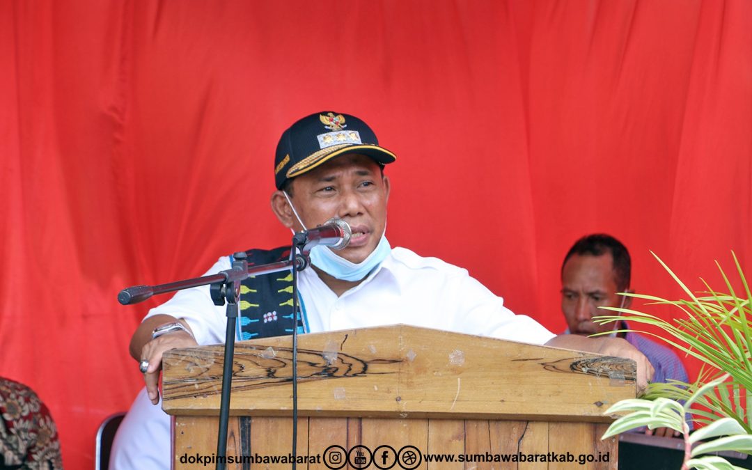 Bupati Buka Seminar Pengembangan Pendidikan di SMP negeri 1 Sekongkang