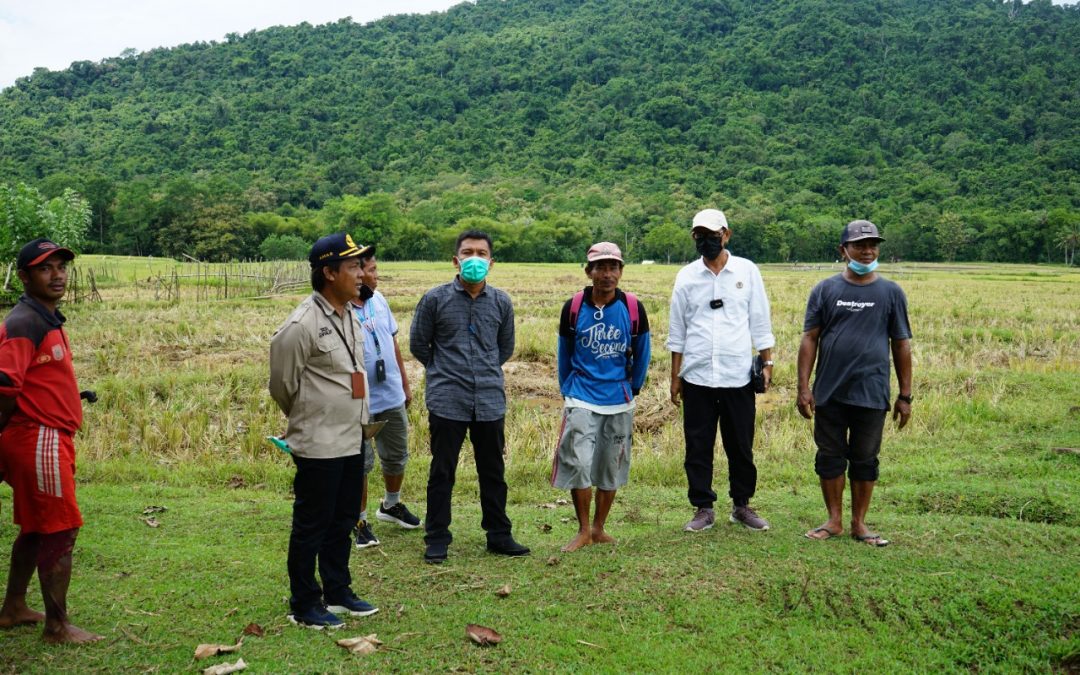 PERMASALAHAN COMBINE HINGGA HARGA GABAH PETANI, PEMDA SEGERA BERIKAN SOLUSI
