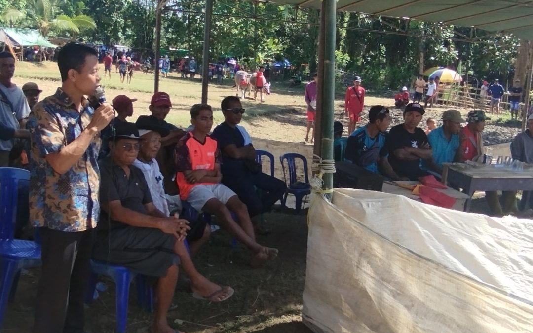 Sekretaris LATS Kamutar Telu Sebut Tradisi Barapan Kebo Berkontribusi Terhadap Perekonomian Sumbawa Barat