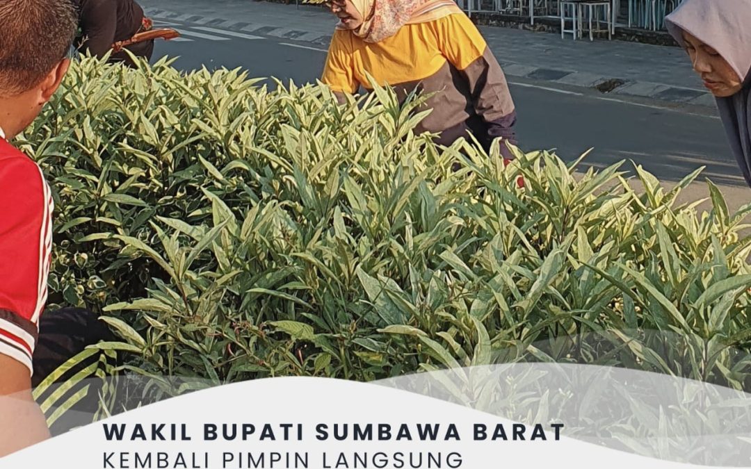 Wakil Bupati Hj Hanipa, Kembali Pimpin Langsung Gotong Royong di Jalan TGH Zainudin Abdul Majid
