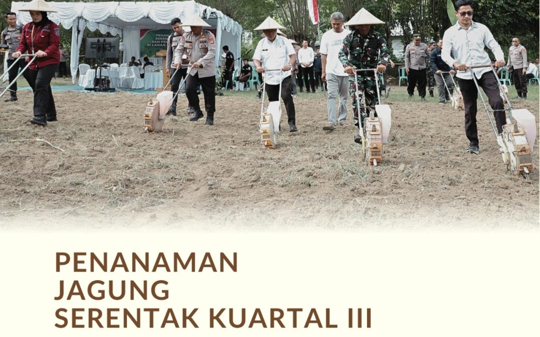 Bupati dan Kapolres Sumbawa Barat Tanam Jagung Serentak, Semangat Mendorong Ketahanan Pangan dan Kesejahteraan Petani