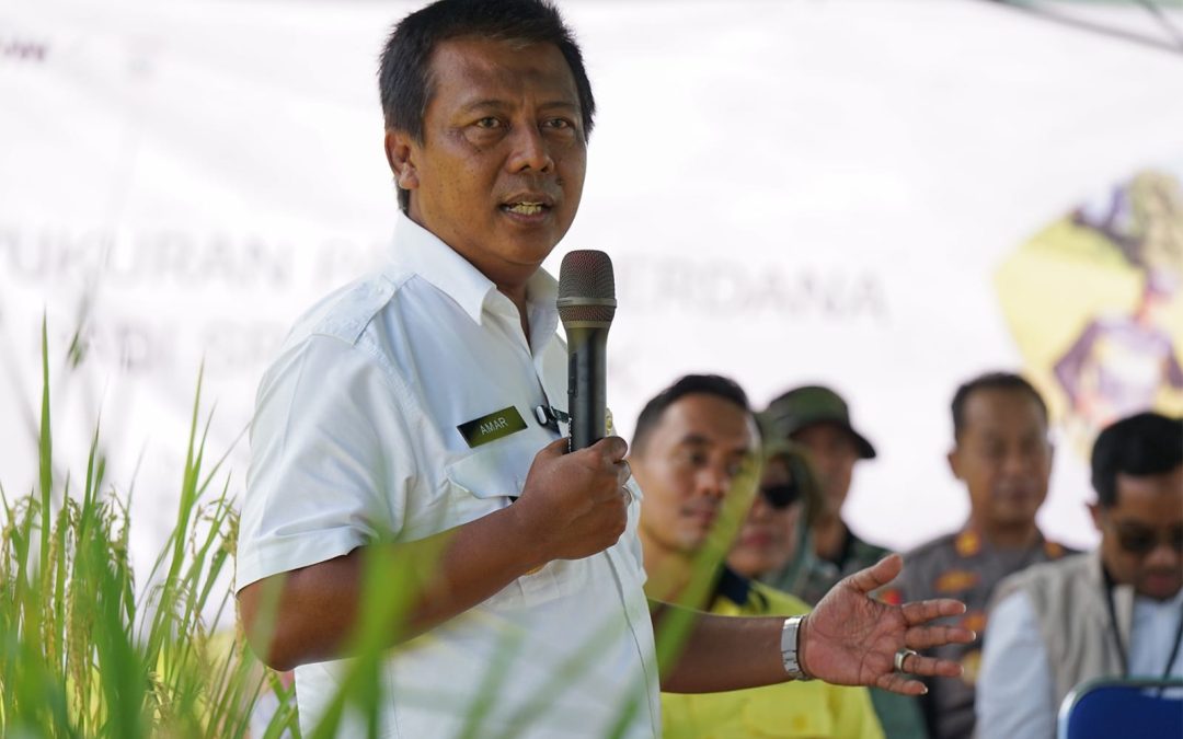 Bupati KSB Dorong Kemandirian Pertanian: Gabah Harus Diolah di Daerah, Bukan Dibawa Keluar!