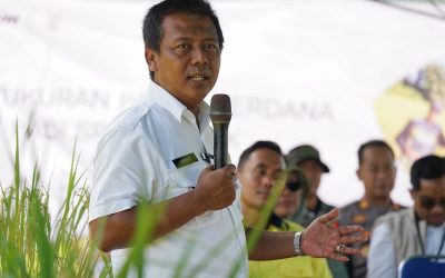 Bupati KSB Dorong Kemandirian Pertanian: Gabah Harus Diolah di Daerah, Bukan Dibawa Keluar!
